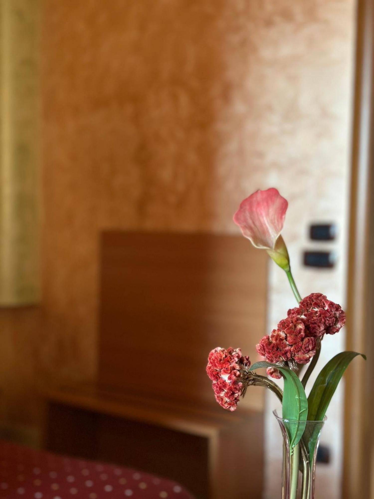 Hotel Il Giardino Degli Aranci نولا المظهر الخارجي الصورة